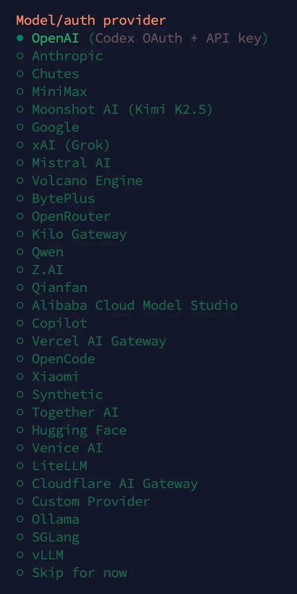 Выбор провайдера AI-модели в мастере настройки