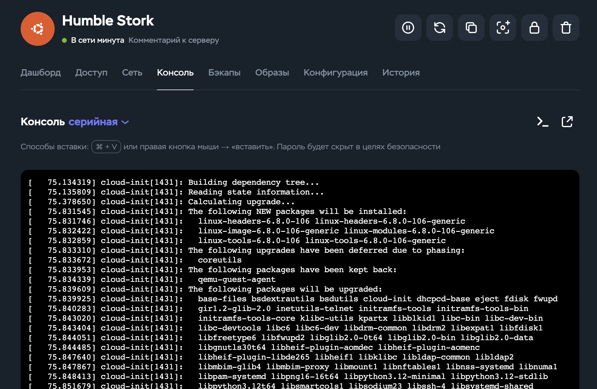 Консоль сервера во время установки